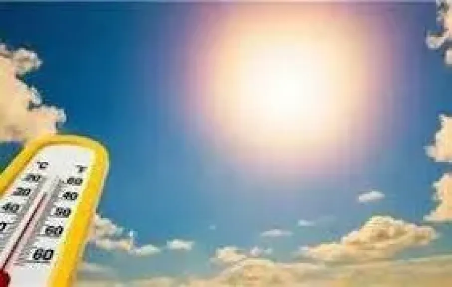 الأرصاد 