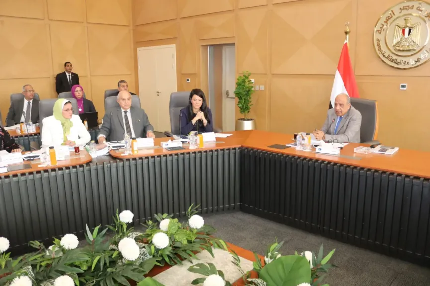 وزير الكهرباء