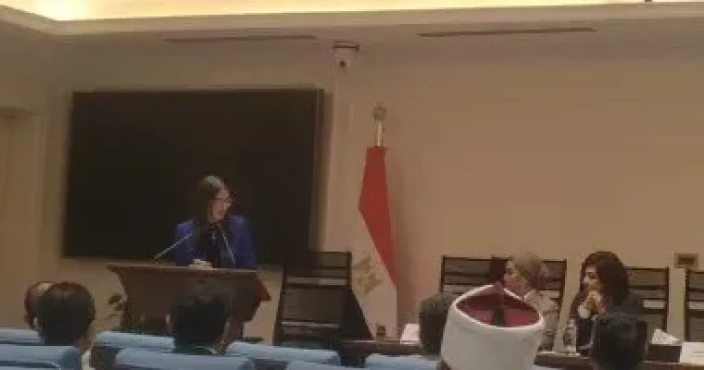 دينا الصيرفي، مساعد وزير التضامن للتعاون الدولي
