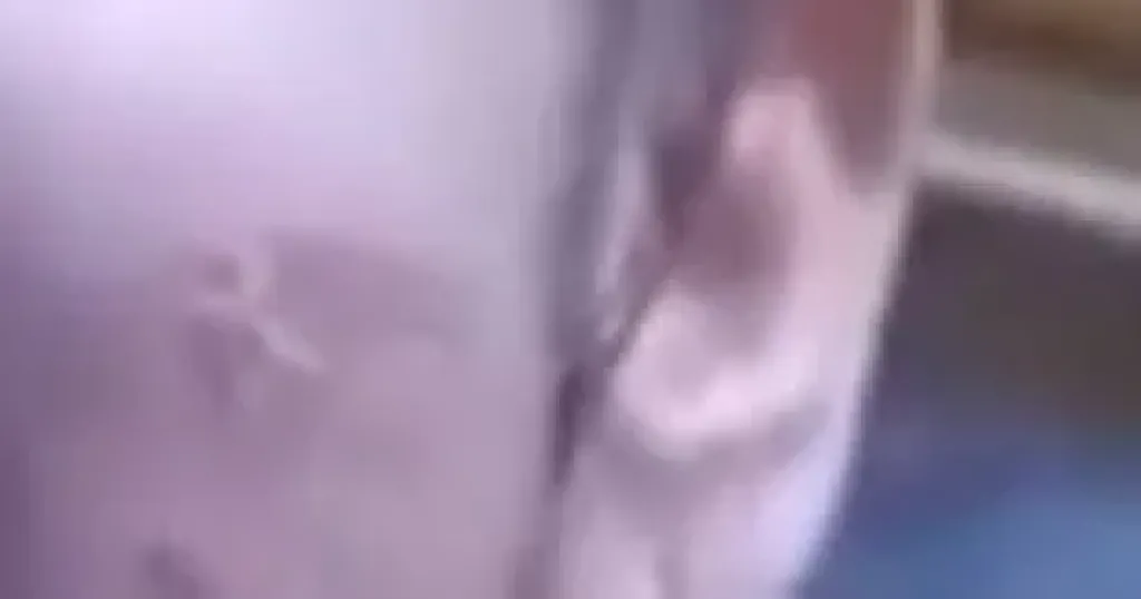 جانب من الواقعة