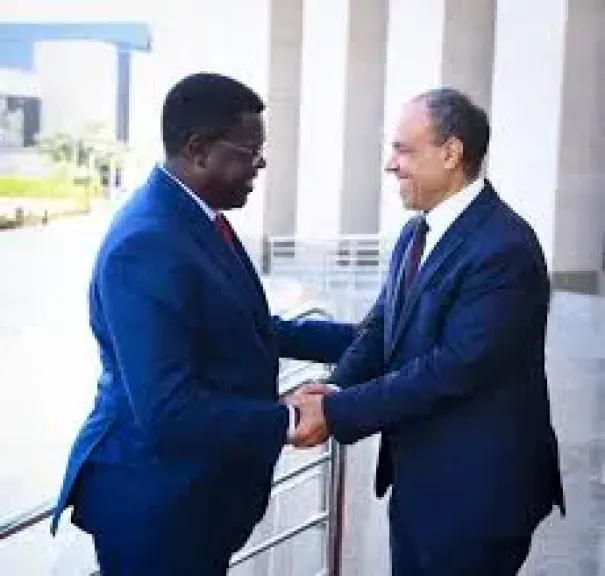 وزيرا خارجية مصر وجنوب السودان