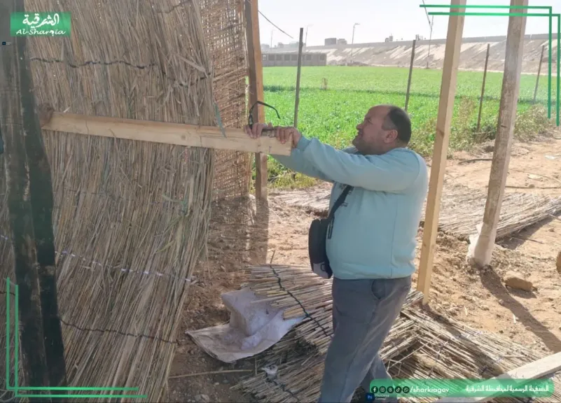 ازاله تعديات 