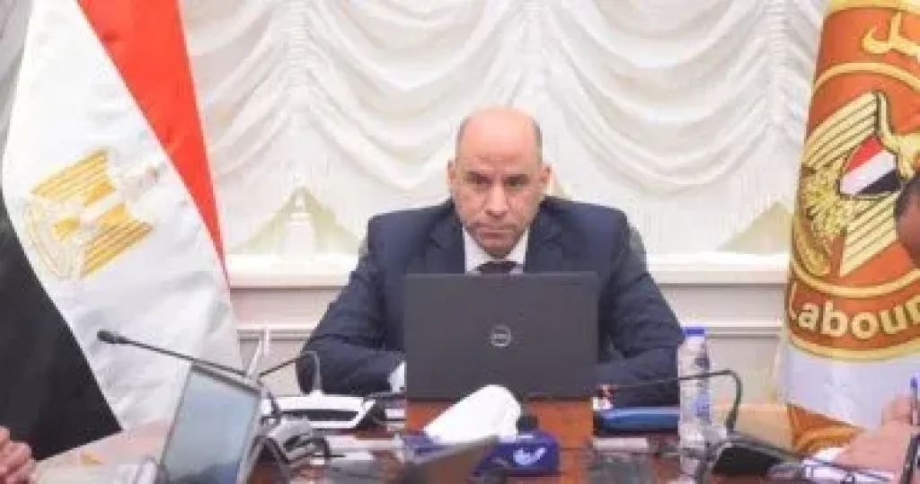 وزير العمل 