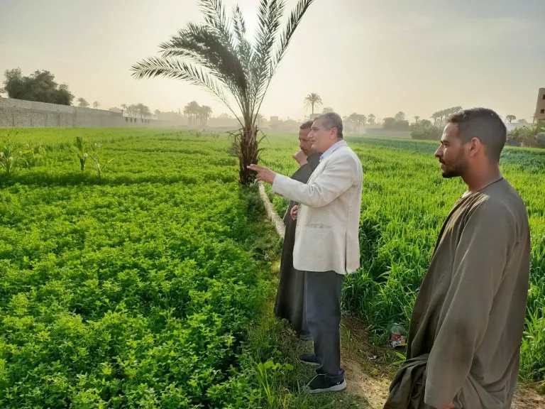 جانب من متابعه 