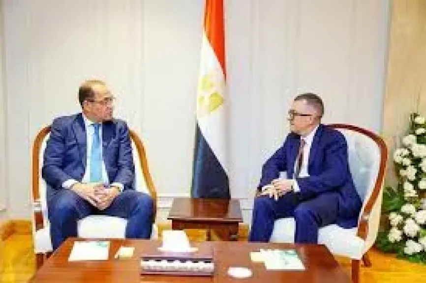 وزيرا التخطيط والمالية