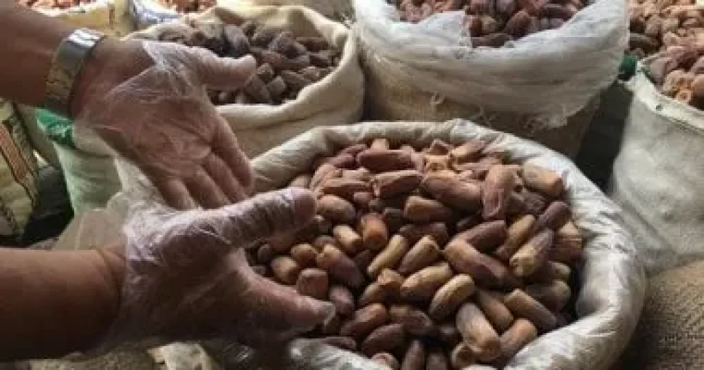 التمور 