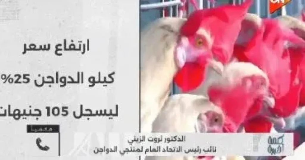 الدواجن 