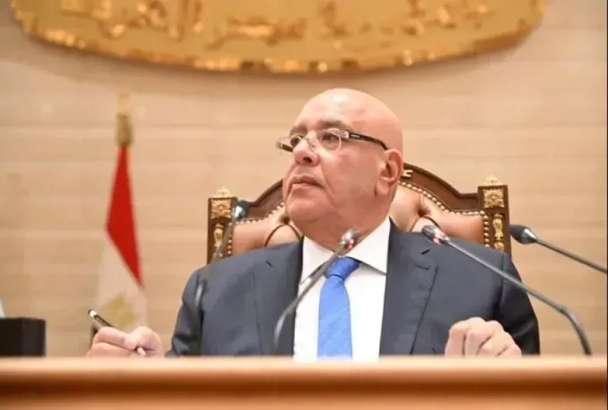 هشام بدوى 