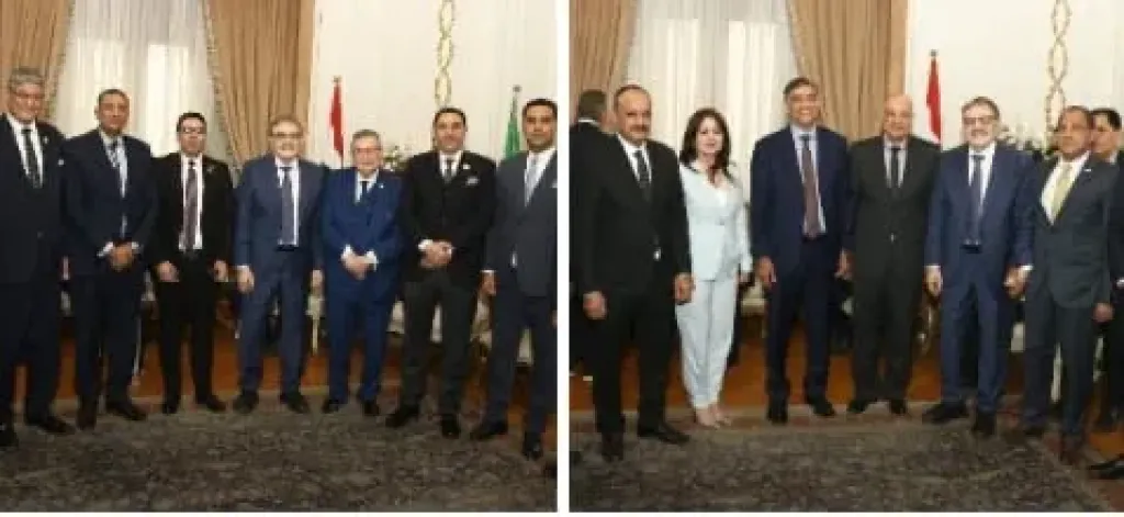 جانب من اللقاء 