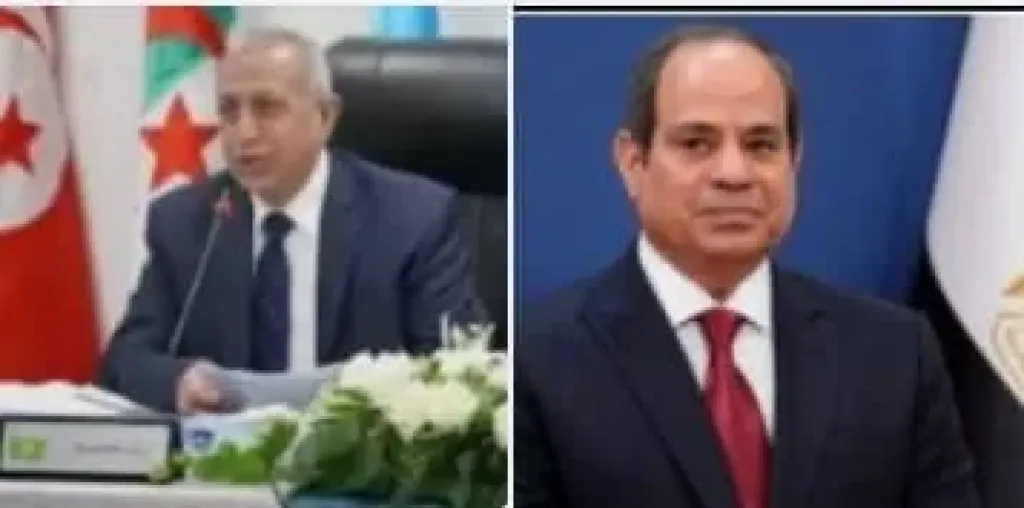 دكتور اسماعيل عبد الغفار والرئيس عبدالفتاح  السيسي 