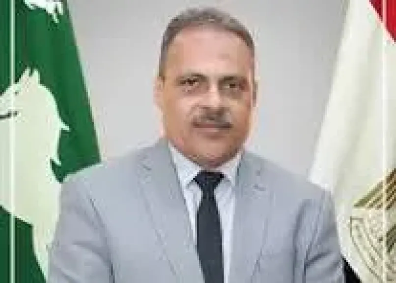 محافظ الشرقية