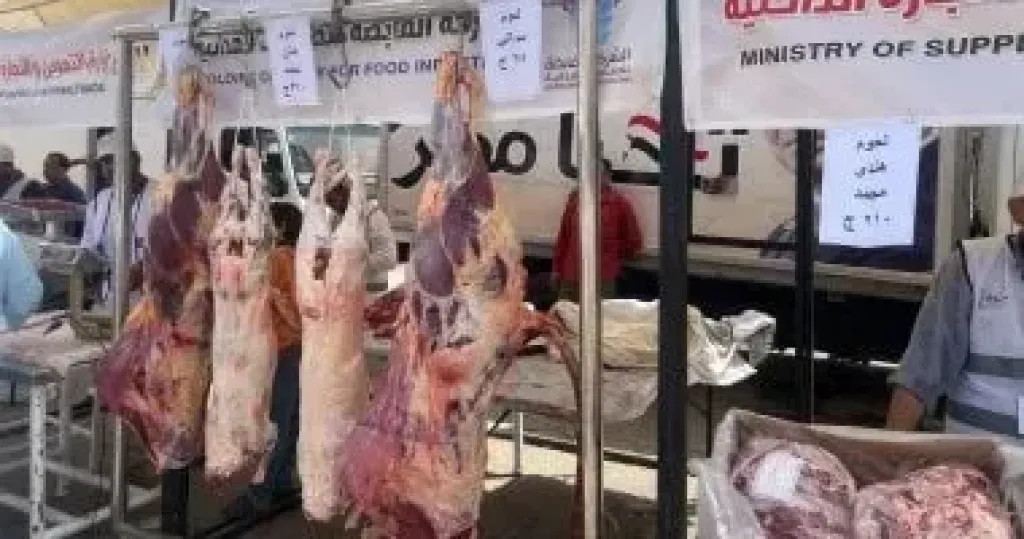 اللحوم 