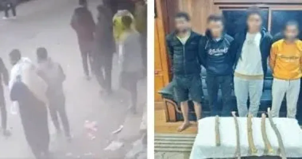 المتهمين 