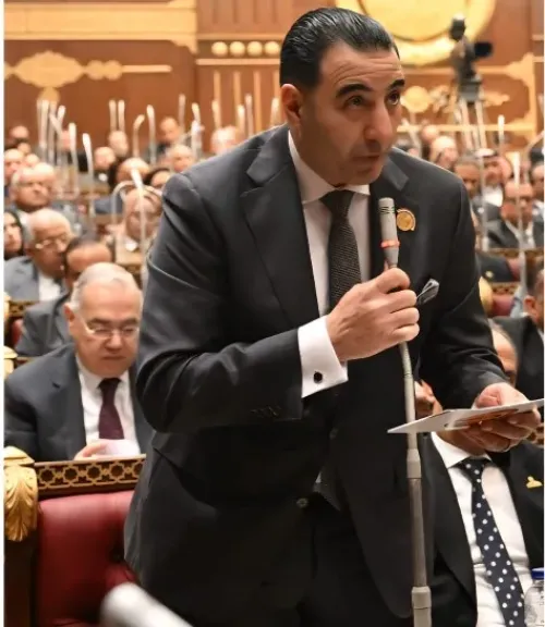  النائب السعيد غنيم