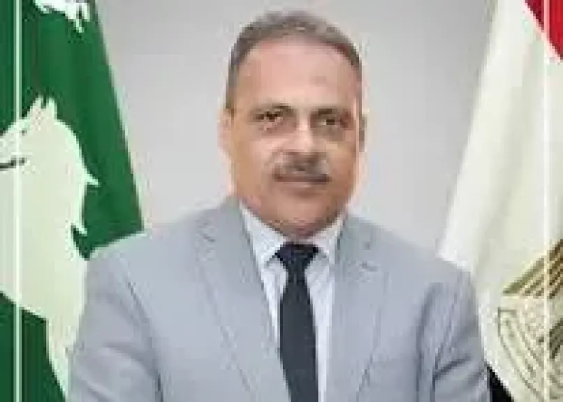 محافظ الشرقية 