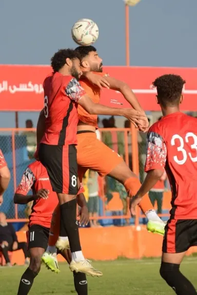 دوري المحترفين 