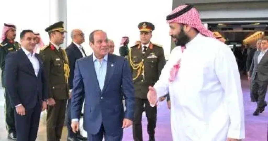 جانب من اللقاء 