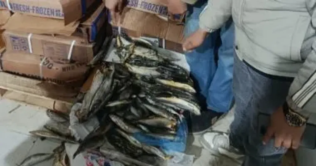 المضبوطات 