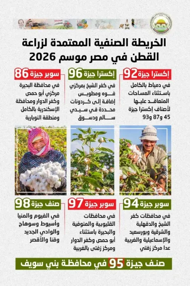 خريطة أصناف القطن لموسم 2026