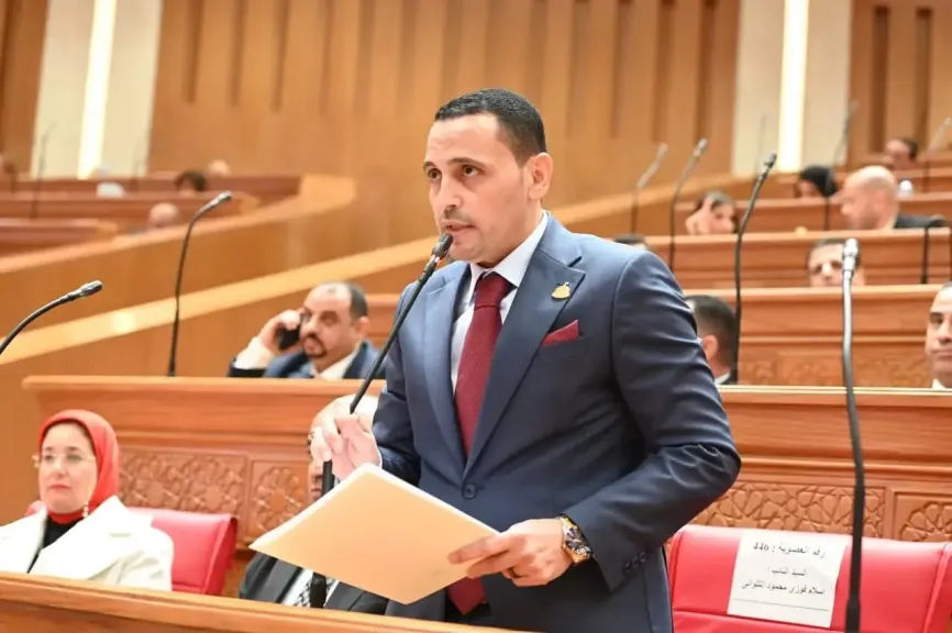 النائب إسلام التلواني