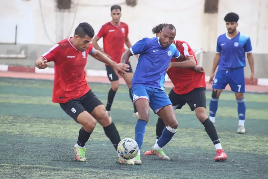 دورى المحترفين