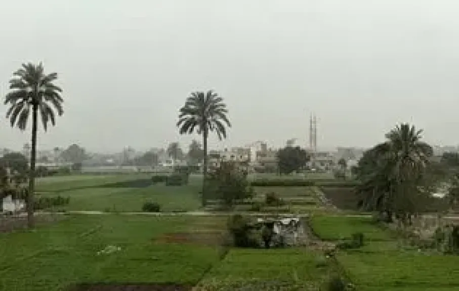 الزراعة 