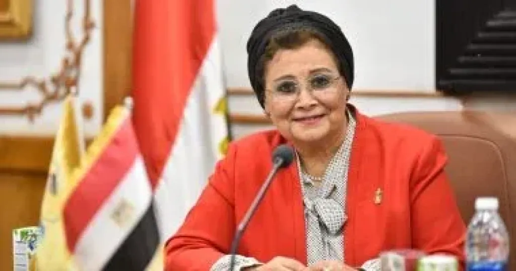الدكتورة عبلة الألفى نائب وزير الصحة والسكان