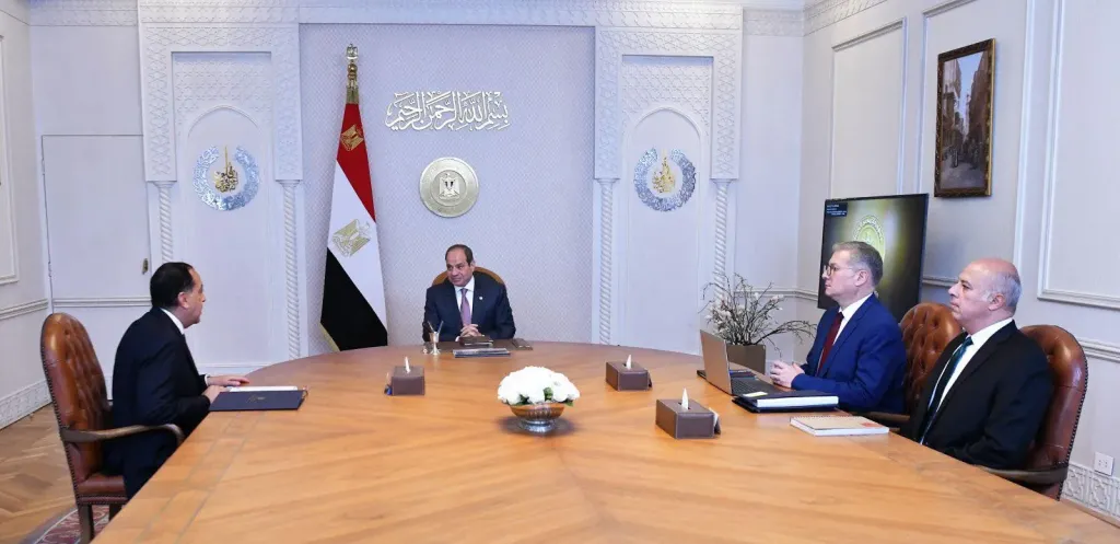 السيد الرئيس عبد الفتاح السيسي خلال اللقاء