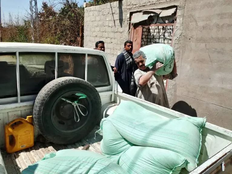 جانب من المطبوطات 