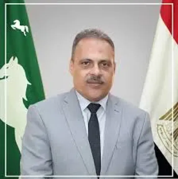 محافظ الشرقية 