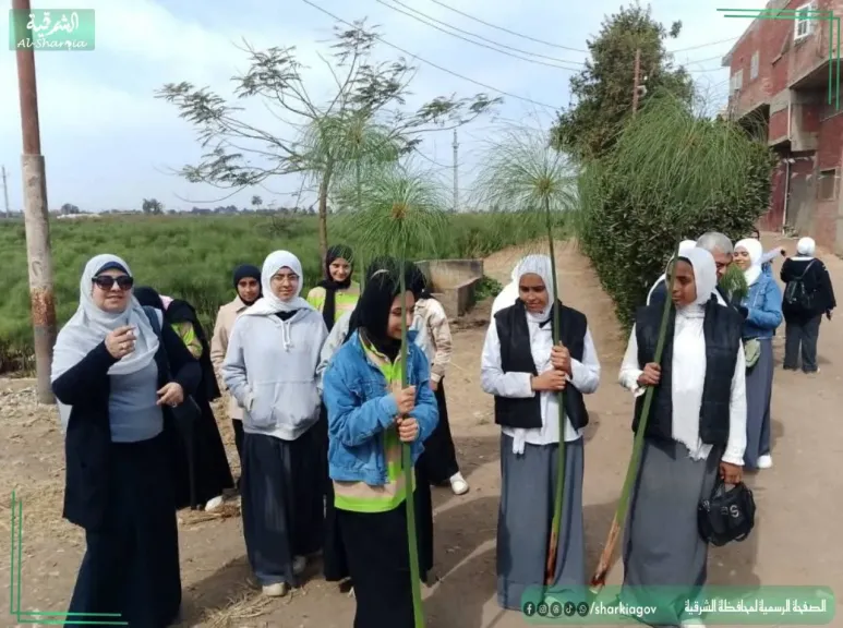 جانب من النشاط 