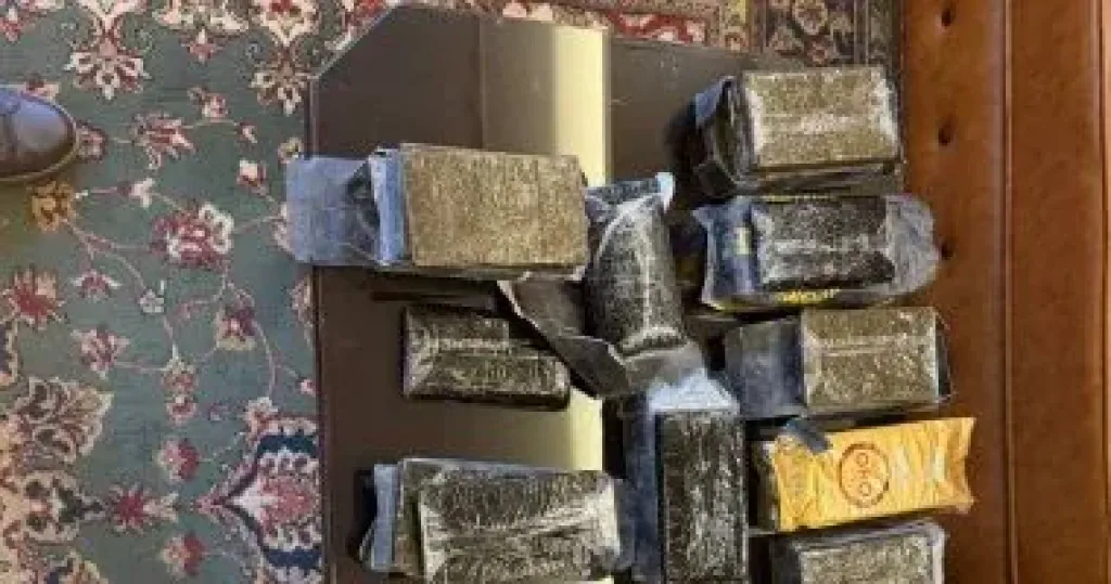 المضبوطات 
