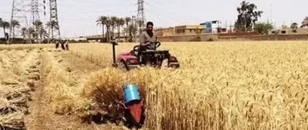 الإرشاد الزراعي 