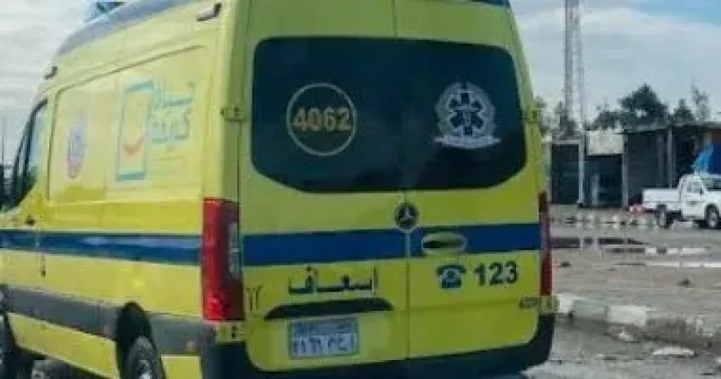 ارشيفة