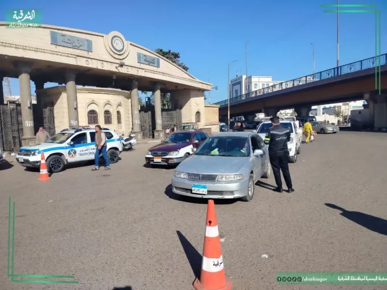 جانب من التواجد