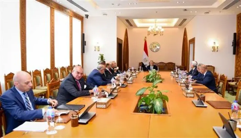 بدر عبد العاطى خلال اللقاء
