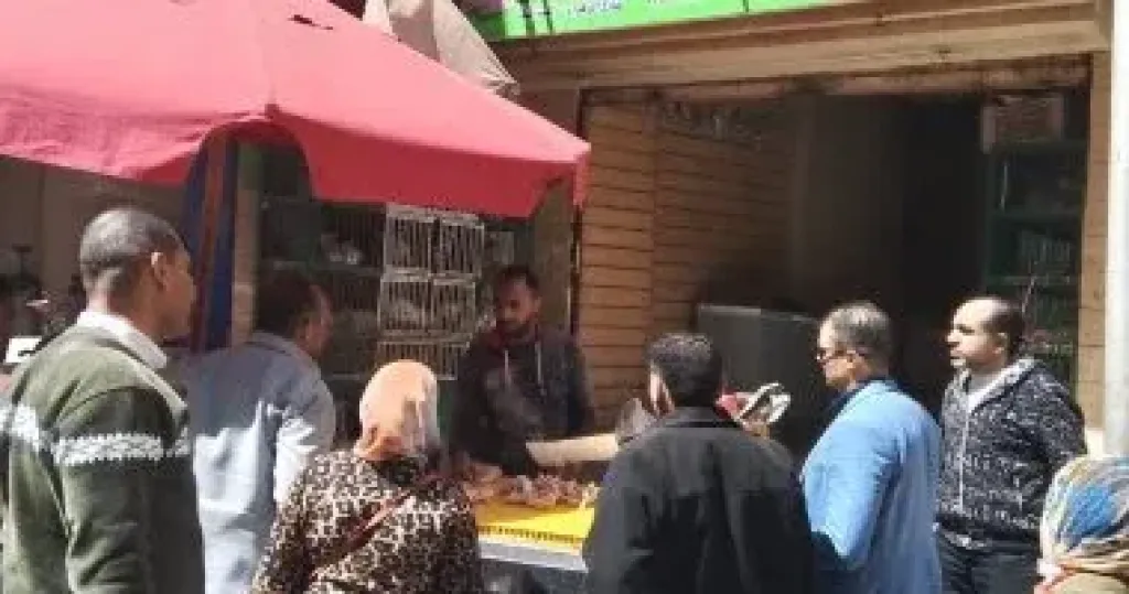 جانب من حملة التوعية