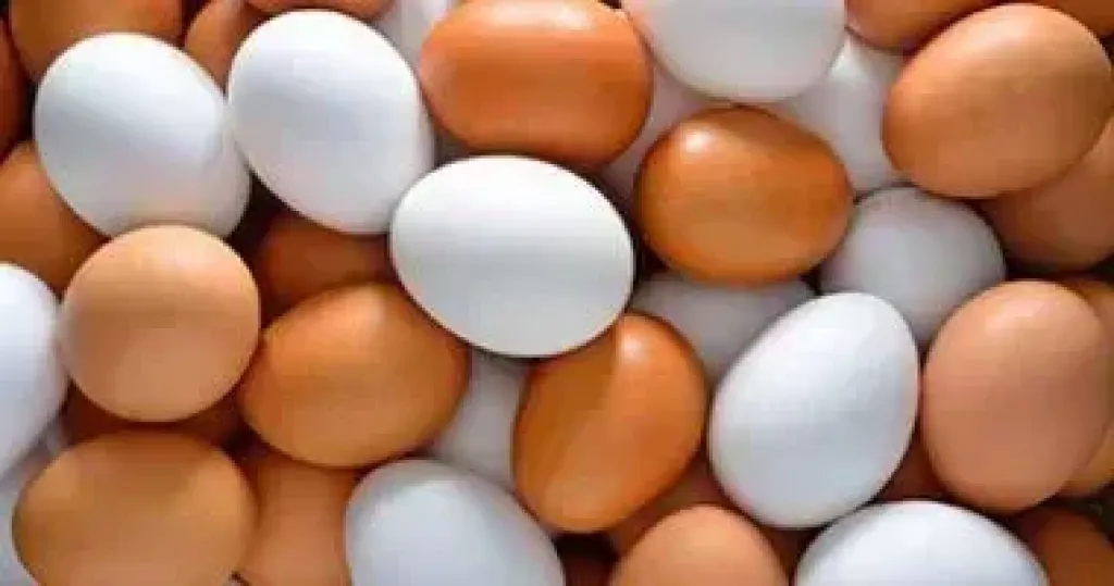البيض 