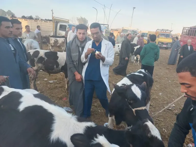 حملات بيطرية 