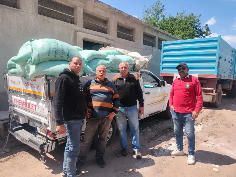 المضبوطات 