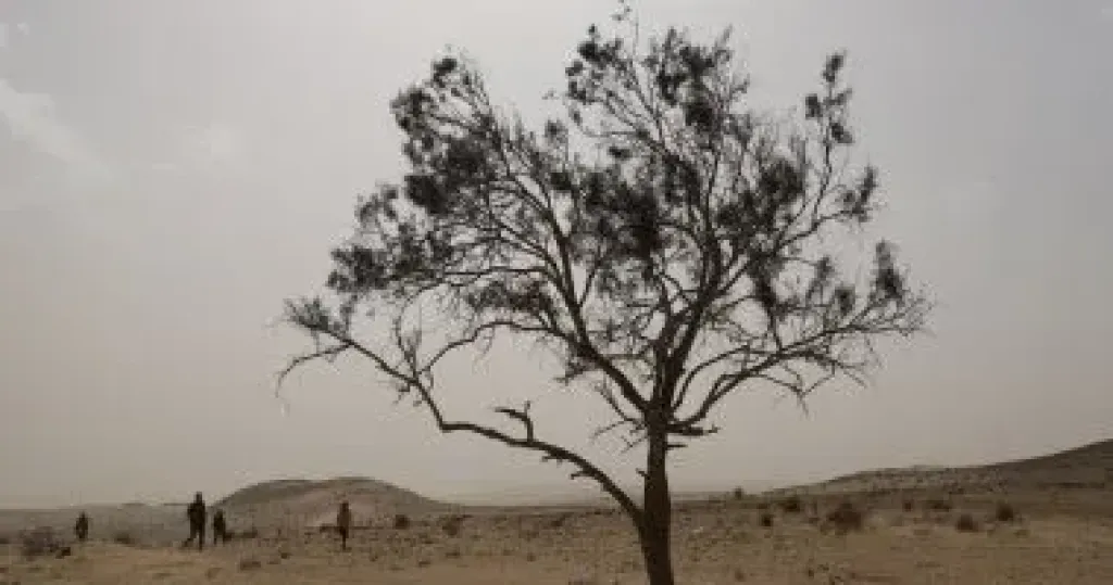 عاصفة 