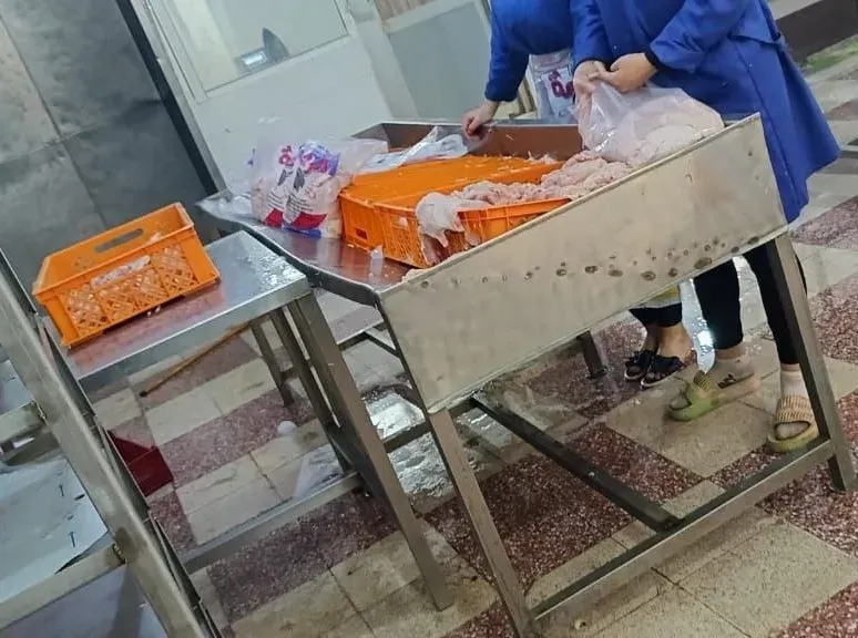 دواجن مذبوحة خارج المجازر 