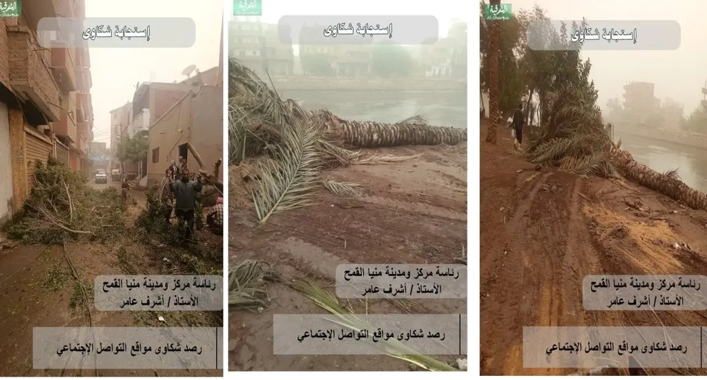 جانب من الاشجار المتساقطة 