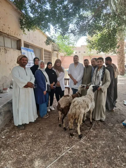 جانب من العمل 