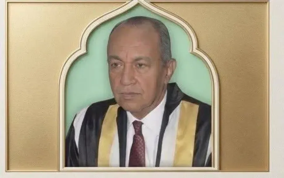 الأستاذ الدكتور السيد العربى حسن 