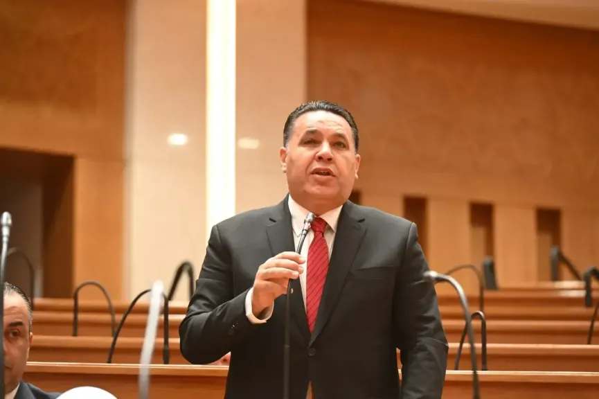 النائب أحمد عصام