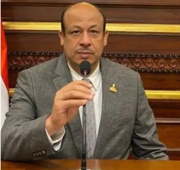 سمير البيومي 