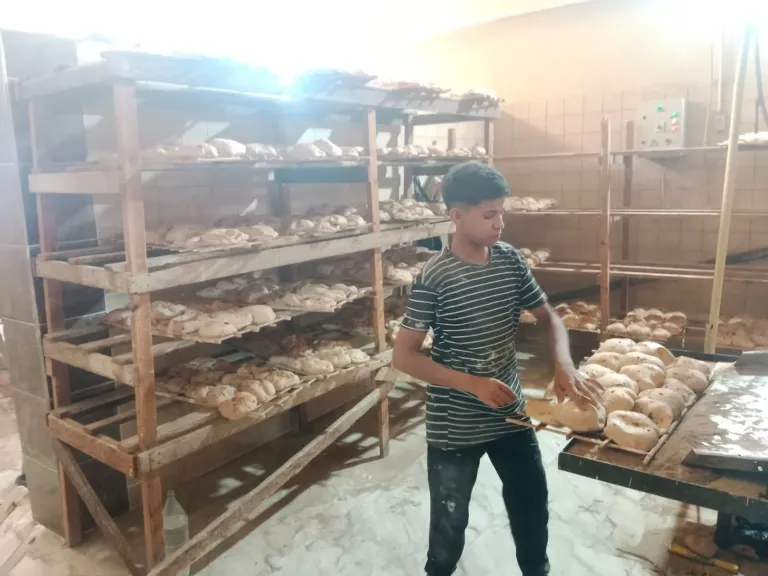 جانب من المضبوطات 