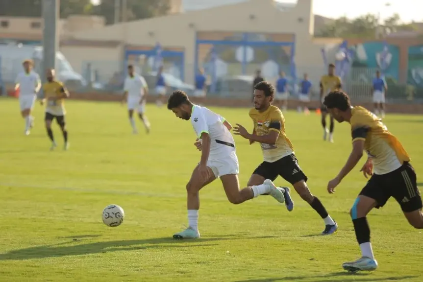 دوري المحترفين 