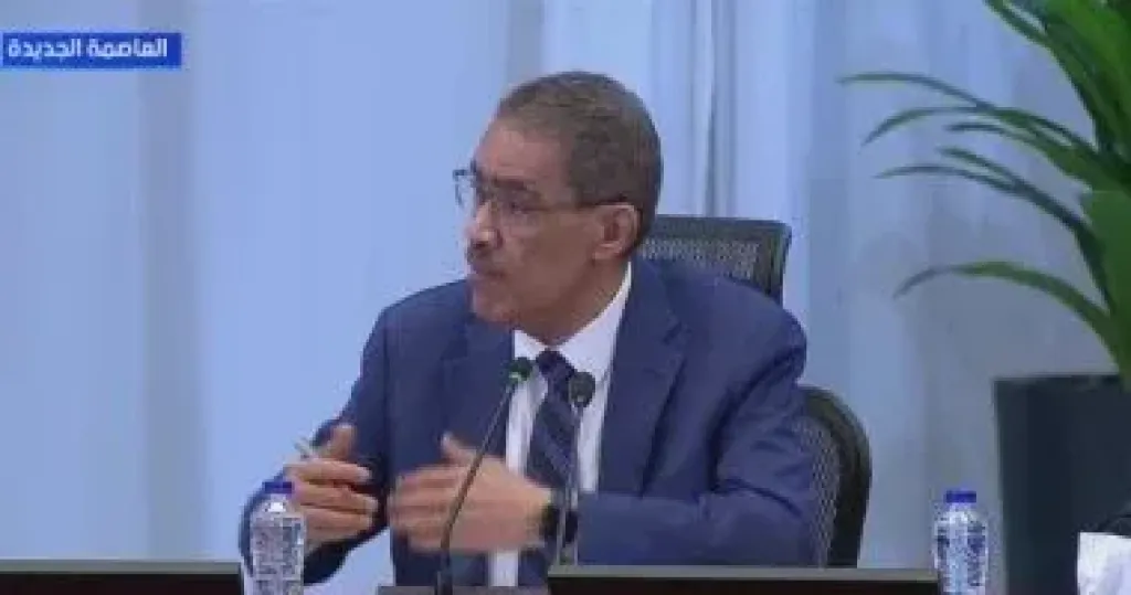 ضياء رشوان 